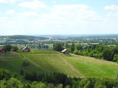 Pomlad v prleških goricah 2017 130